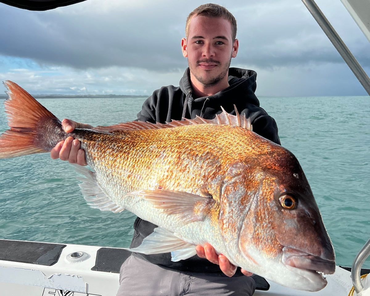 Spring Fishing on the West Coast of the North Island