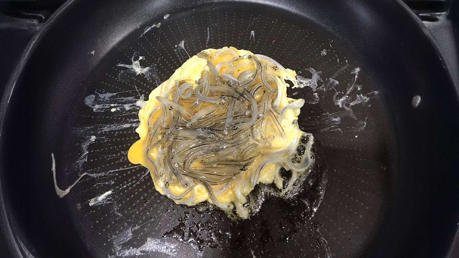 Top Picks: Whitebait Fritter Recipes