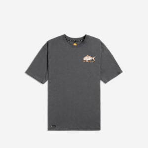 Auratus Tee